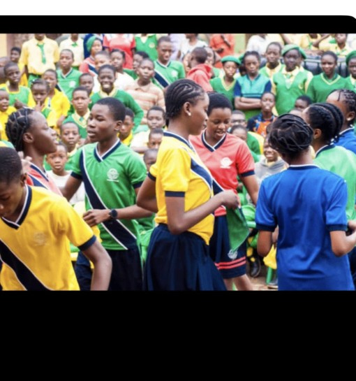 School crowd in fully branded custom jerseys and uniforms